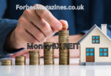 Money6X REIT