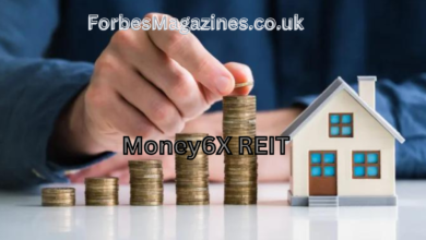 Money6X REIT